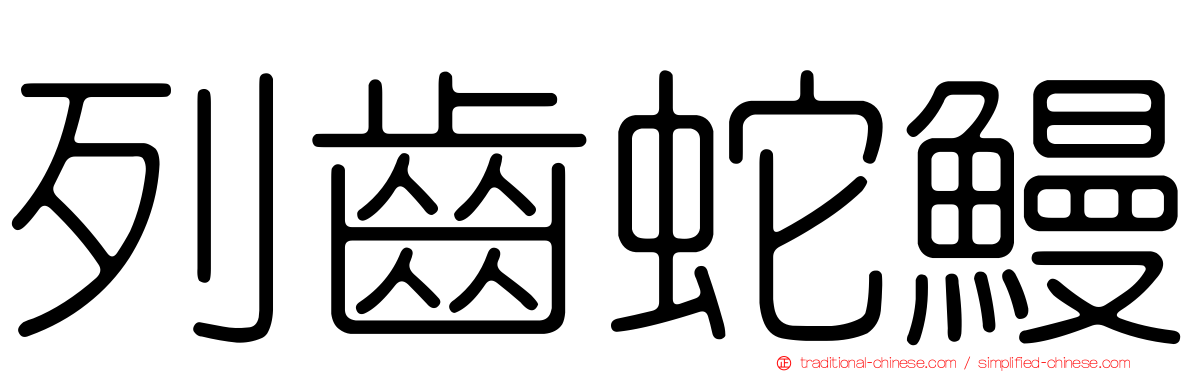 列齒蛇鰻
