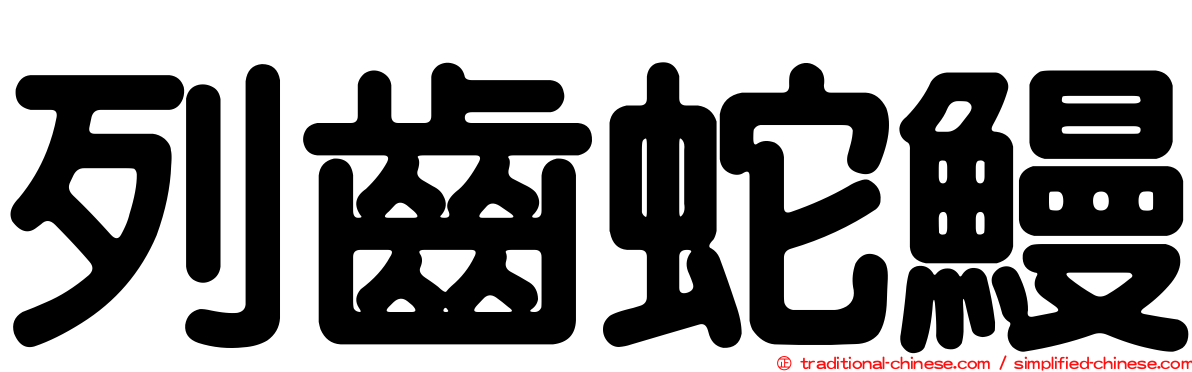 列齒蛇鰻