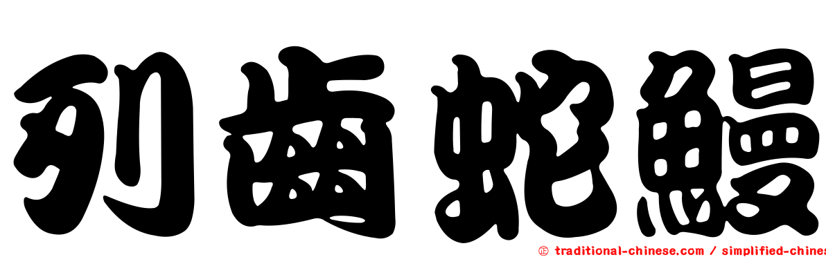 列齒蛇鰻