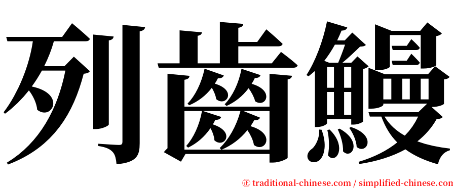 列齒鰻 serif font