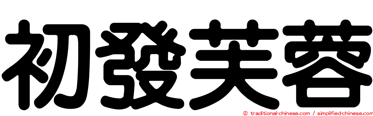 初發芙蓉