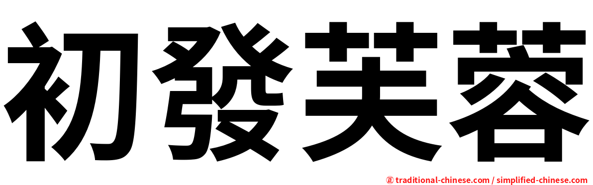 初發芙蓉