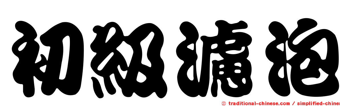 初級濾泡