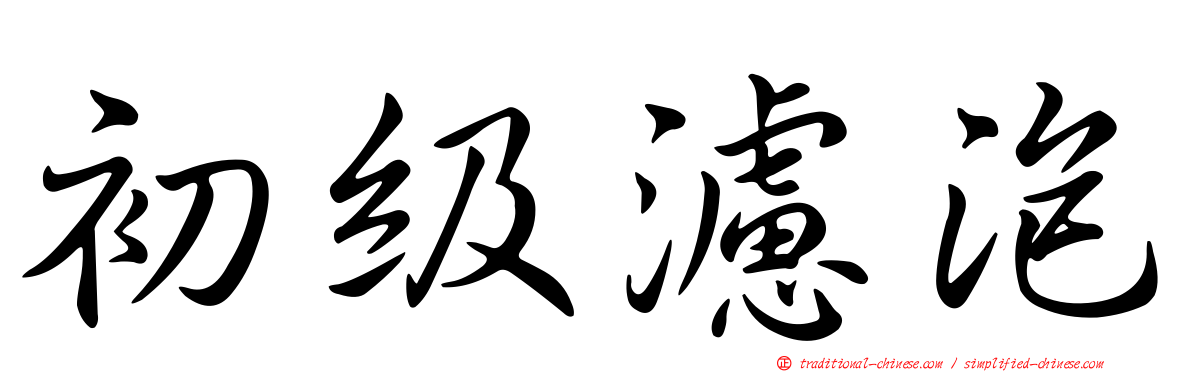 初級濾泡