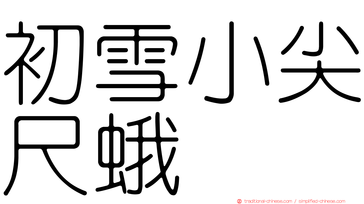 初雪小尖尺蛾
