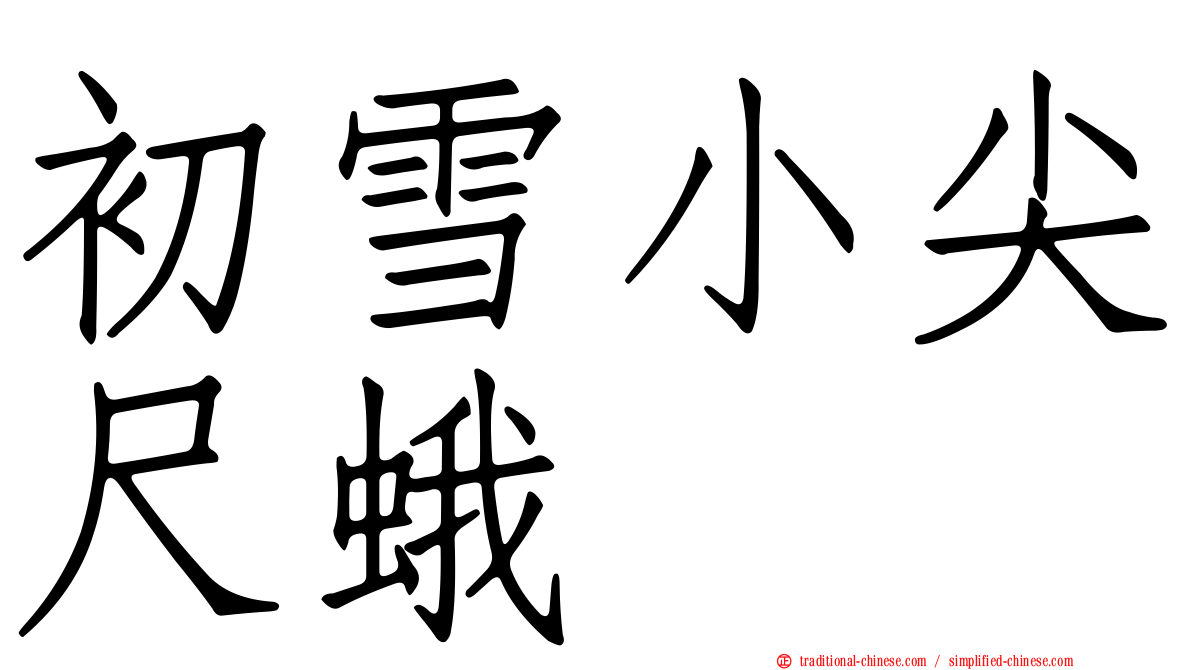 初雪小尖尺蛾