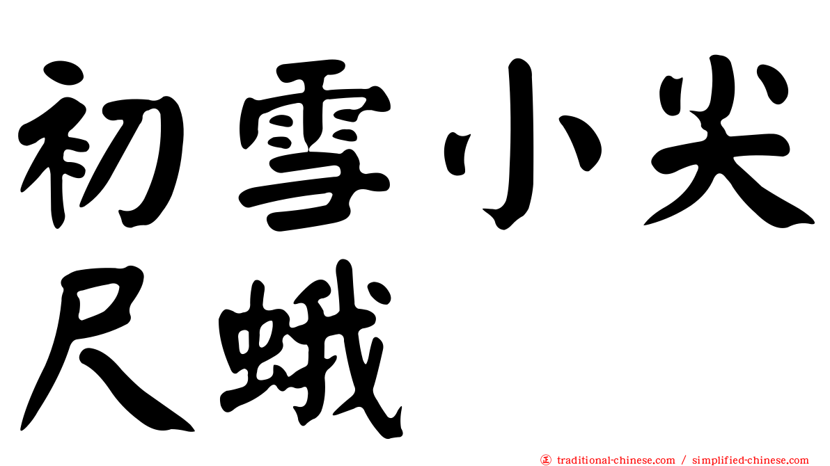 初雪小尖尺蛾