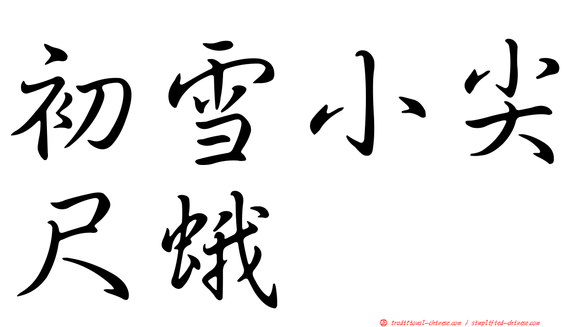 初雪小尖尺蛾