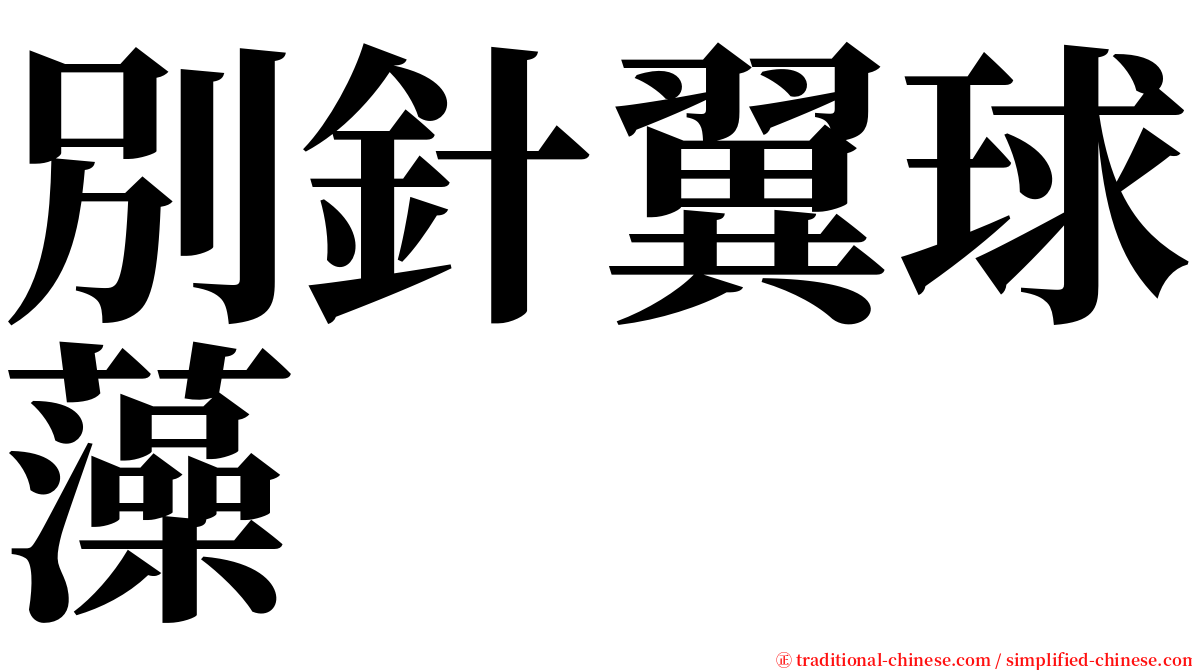 別針翼球藻 serif font