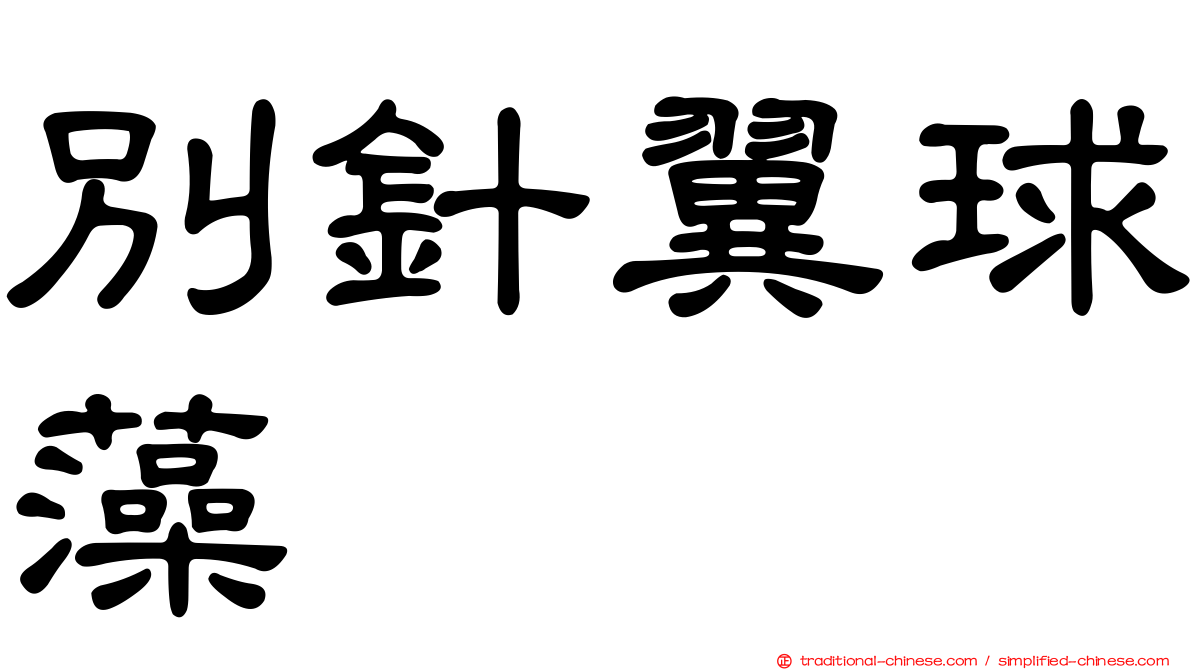 別針翼球藻