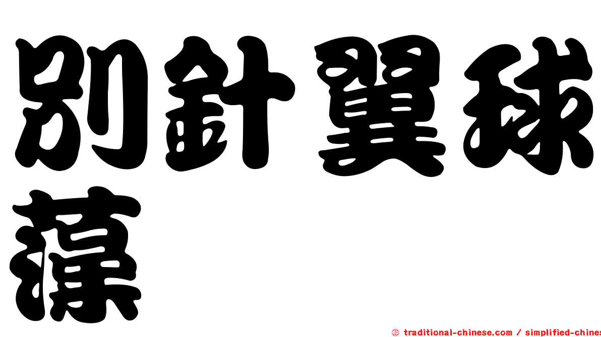 別針翼球藻
