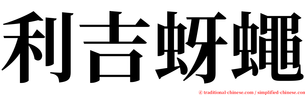 利吉蚜蠅 serif font