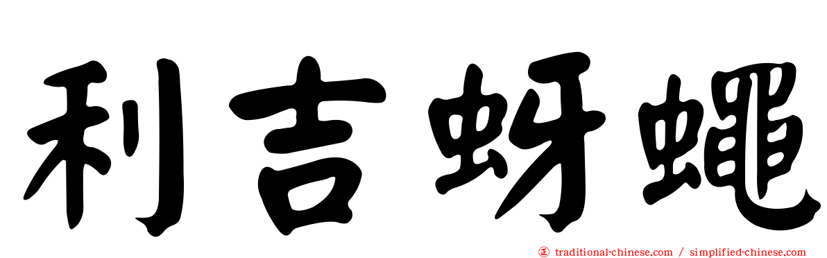 利吉蚜蠅