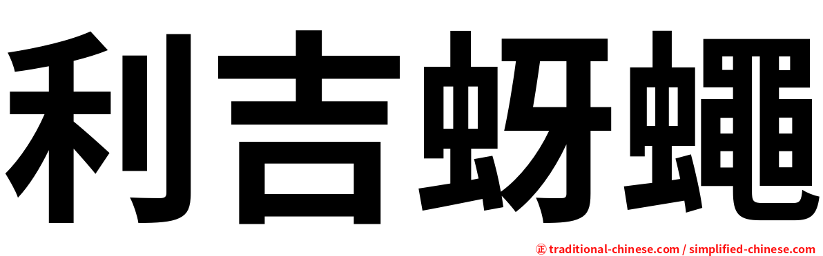 利吉蚜蠅