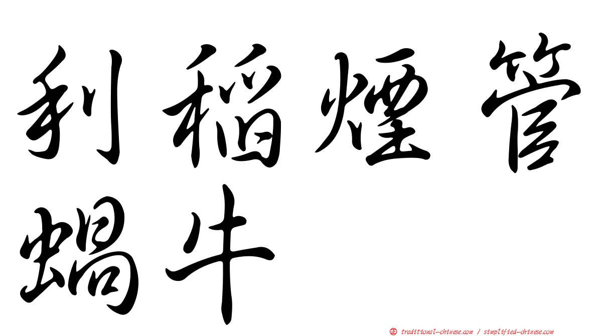 利稻煙管蝸牛
