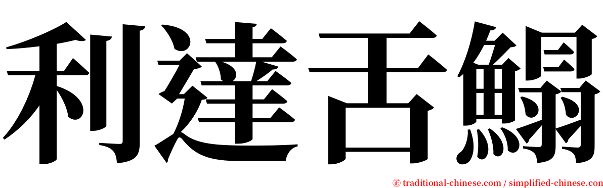 利達舌鰨 serif font