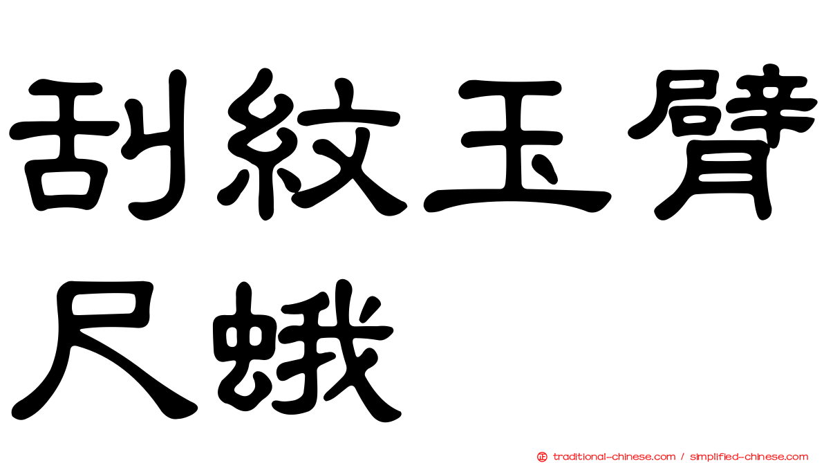 刮紋玉臂尺蛾