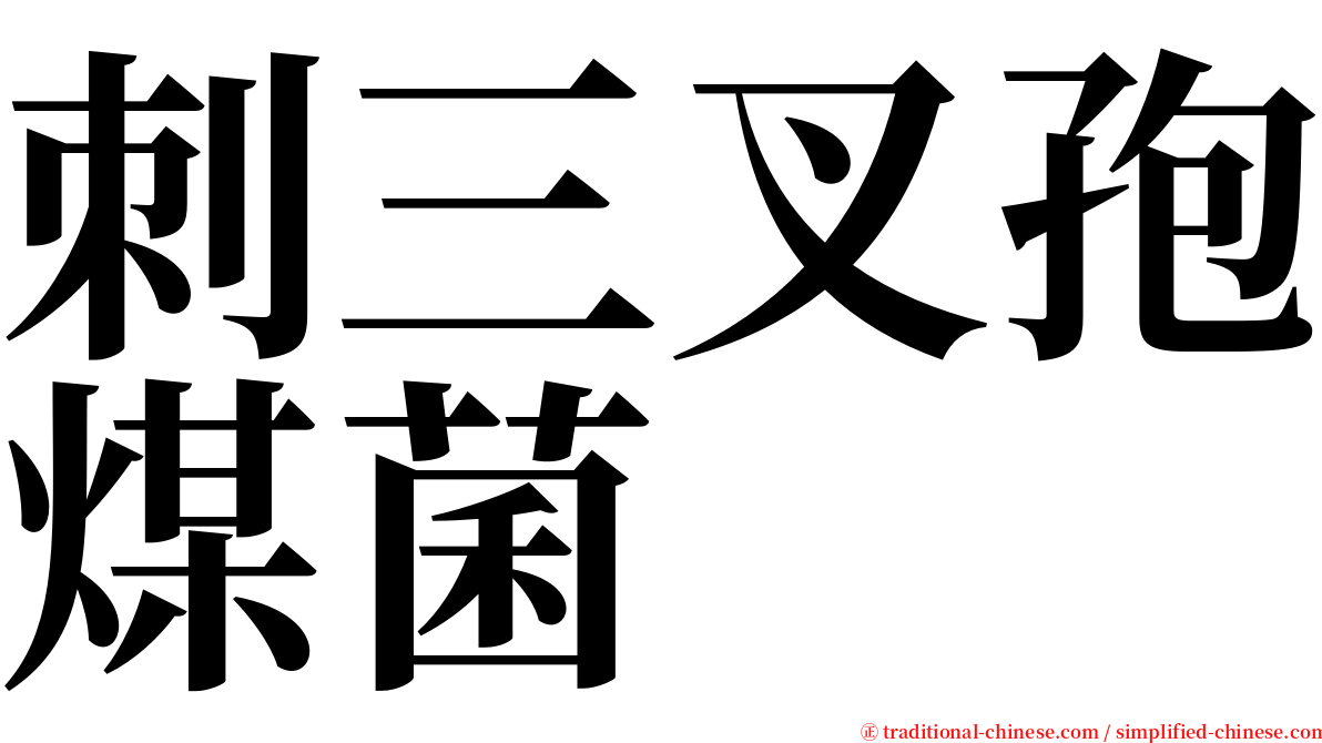 刺三叉孢煤菌 serif font