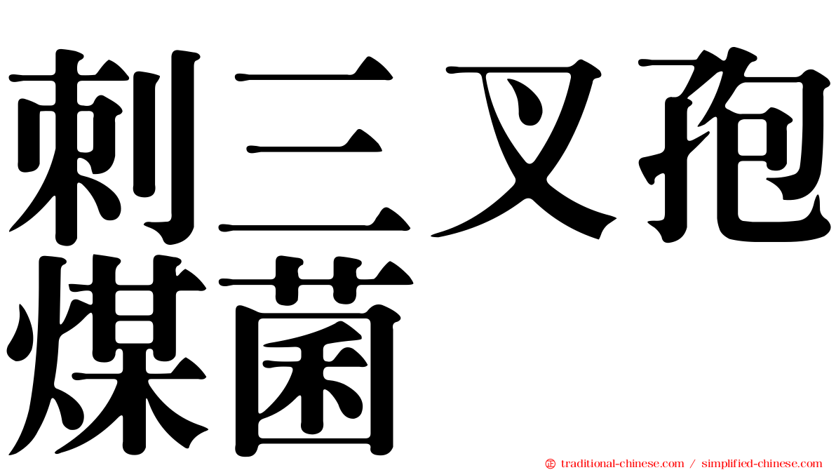 刺三叉孢煤菌