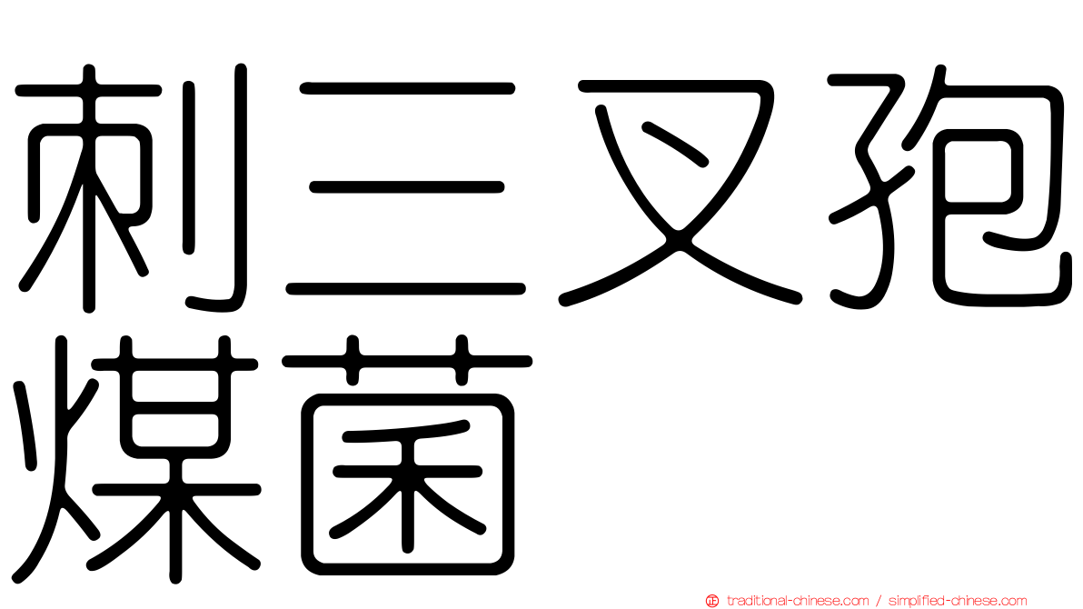 刺三叉孢煤菌