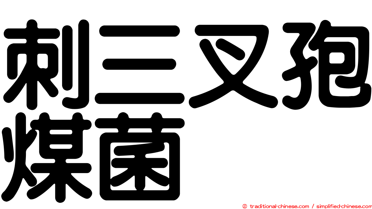 刺三叉孢煤菌