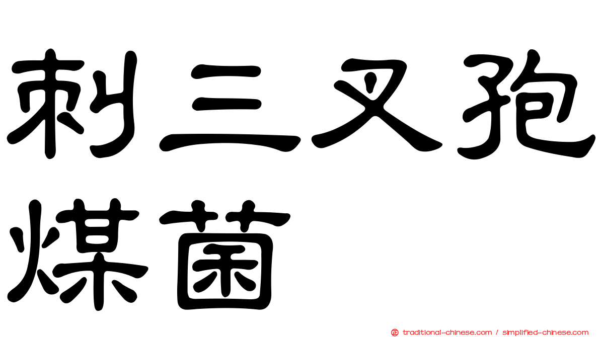 刺三叉孢煤菌
