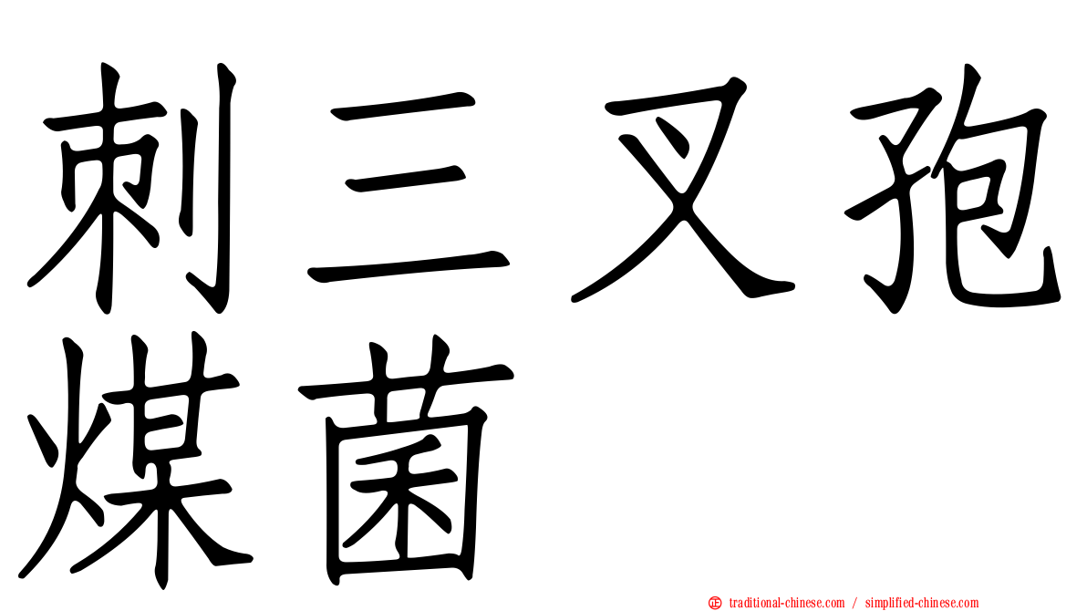 刺三叉孢煤菌