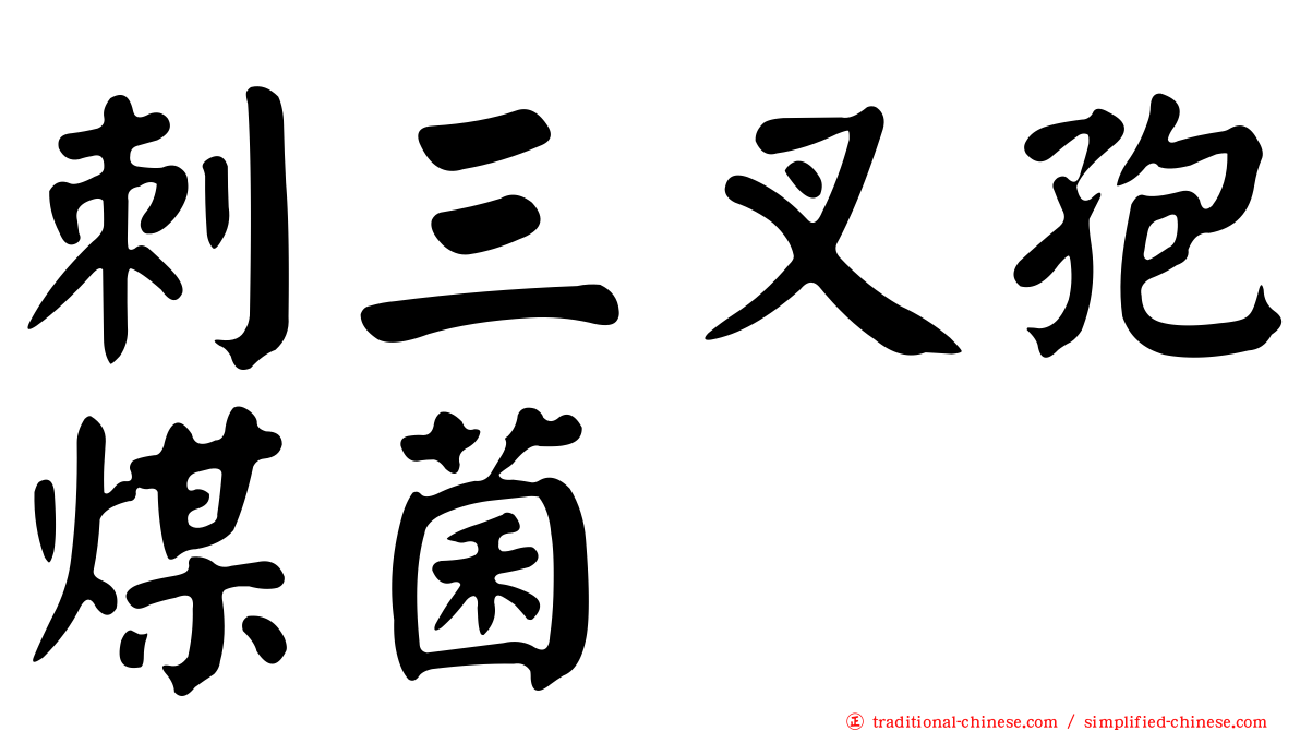 刺三叉孢煤菌