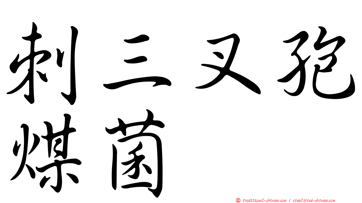 刺三叉孢煤菌