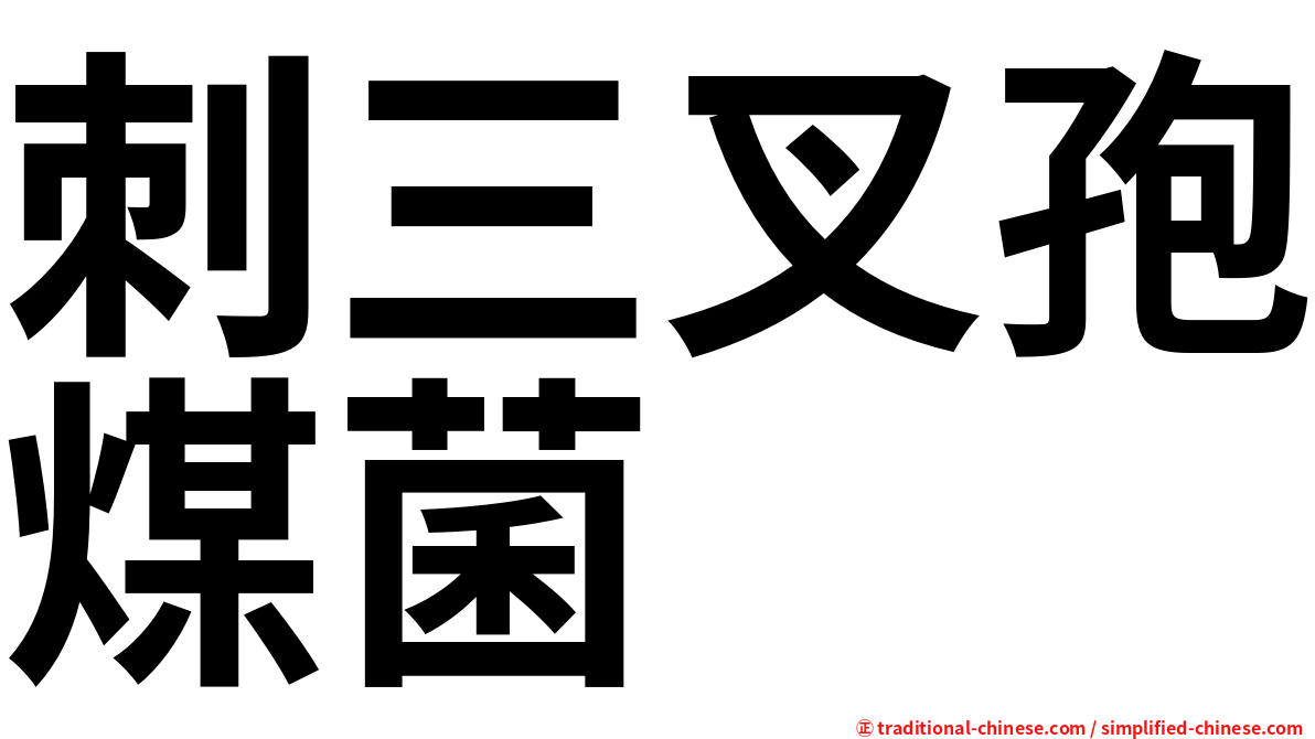 刺三叉孢煤菌