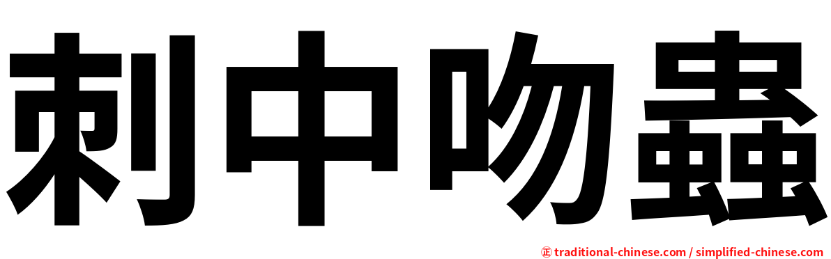 刺中吻蟲