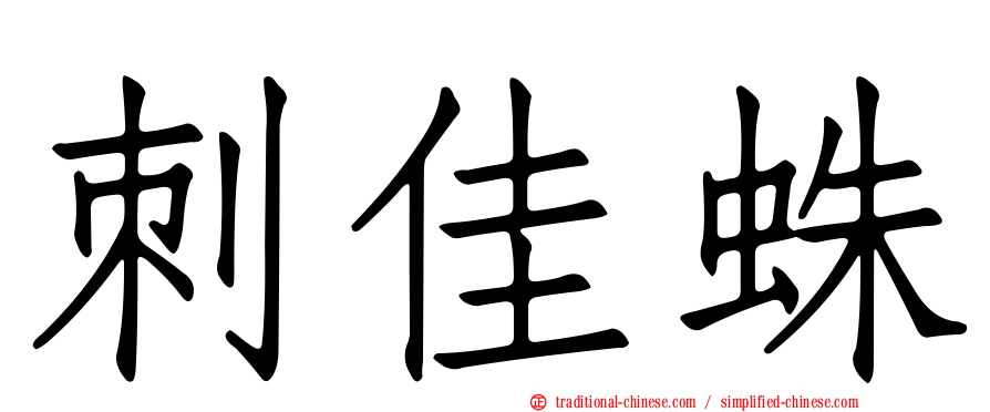 刺佳蛛
