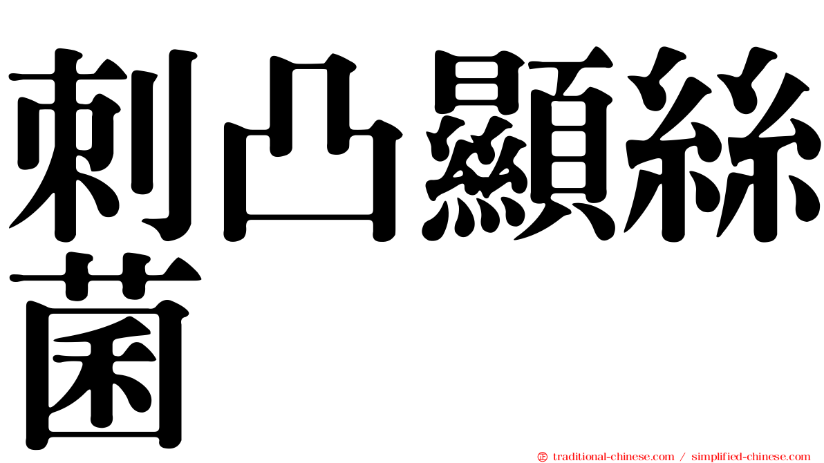刺凸顯絲菌