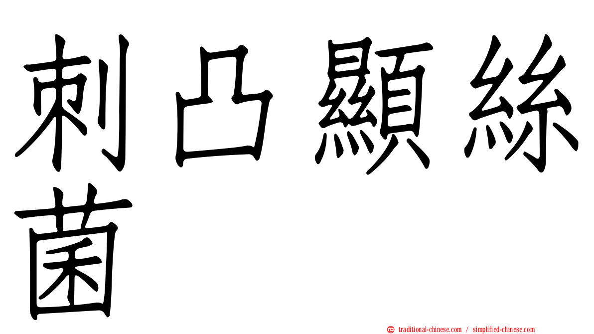 刺凸顯絲菌