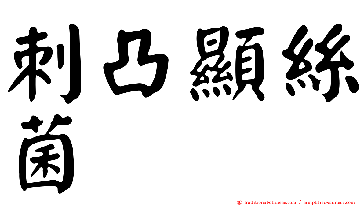 刺凸顯絲菌