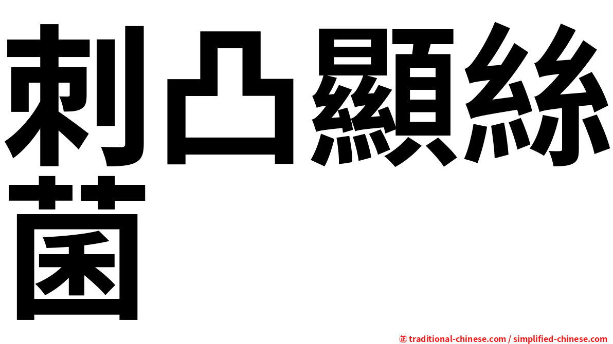 刺凸顯絲菌
