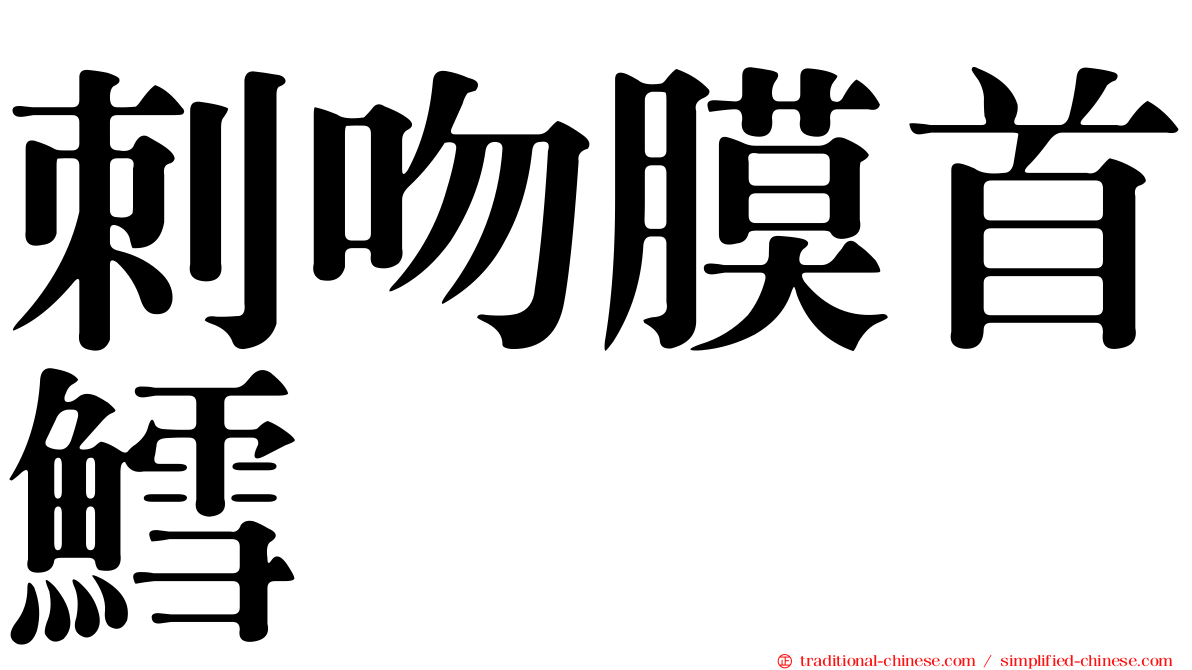 刺吻膜首鱈