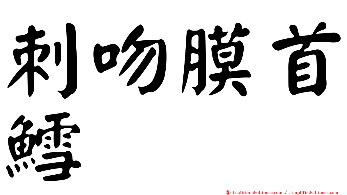 刺吻膜首鱈