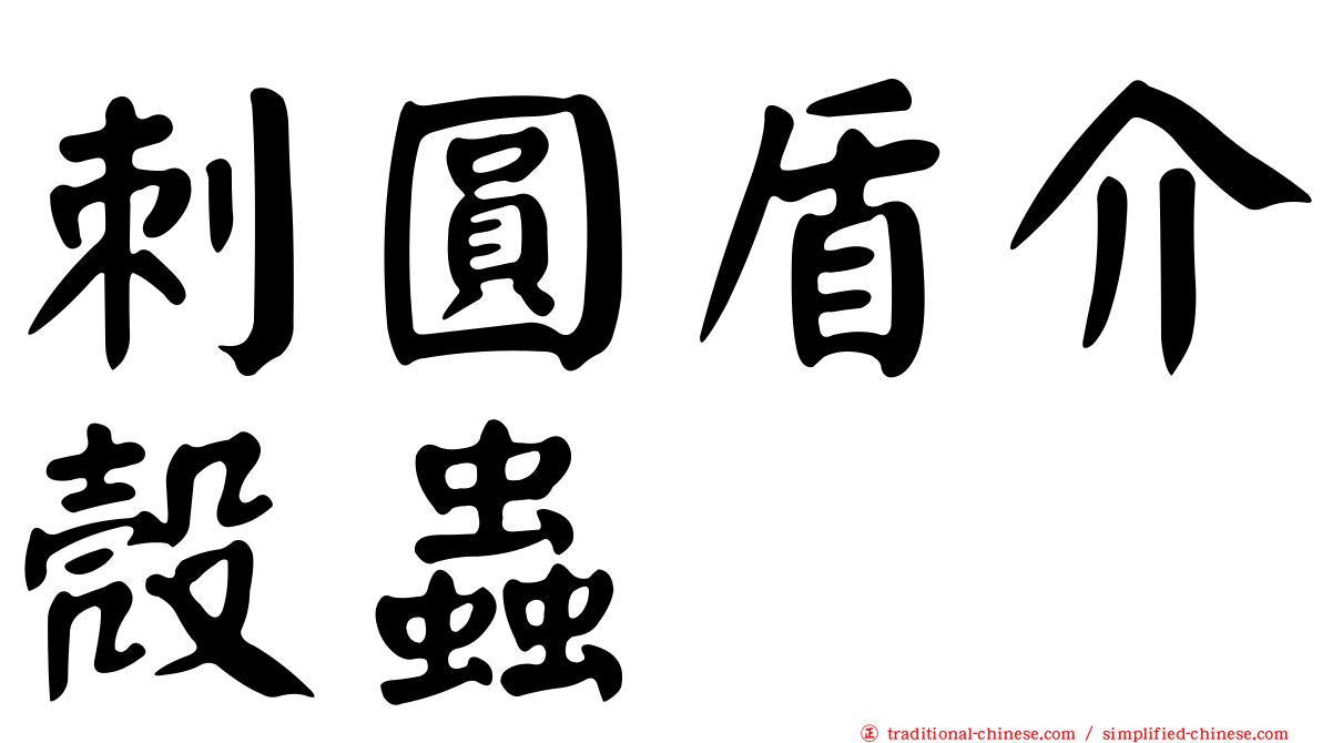 刺圓盾介殼蟲