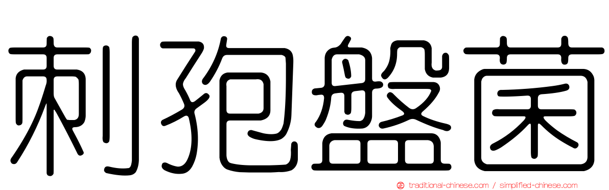 刺孢盤菌