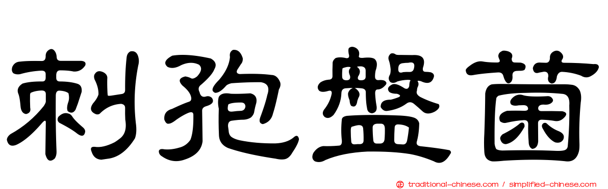刺孢盤菌