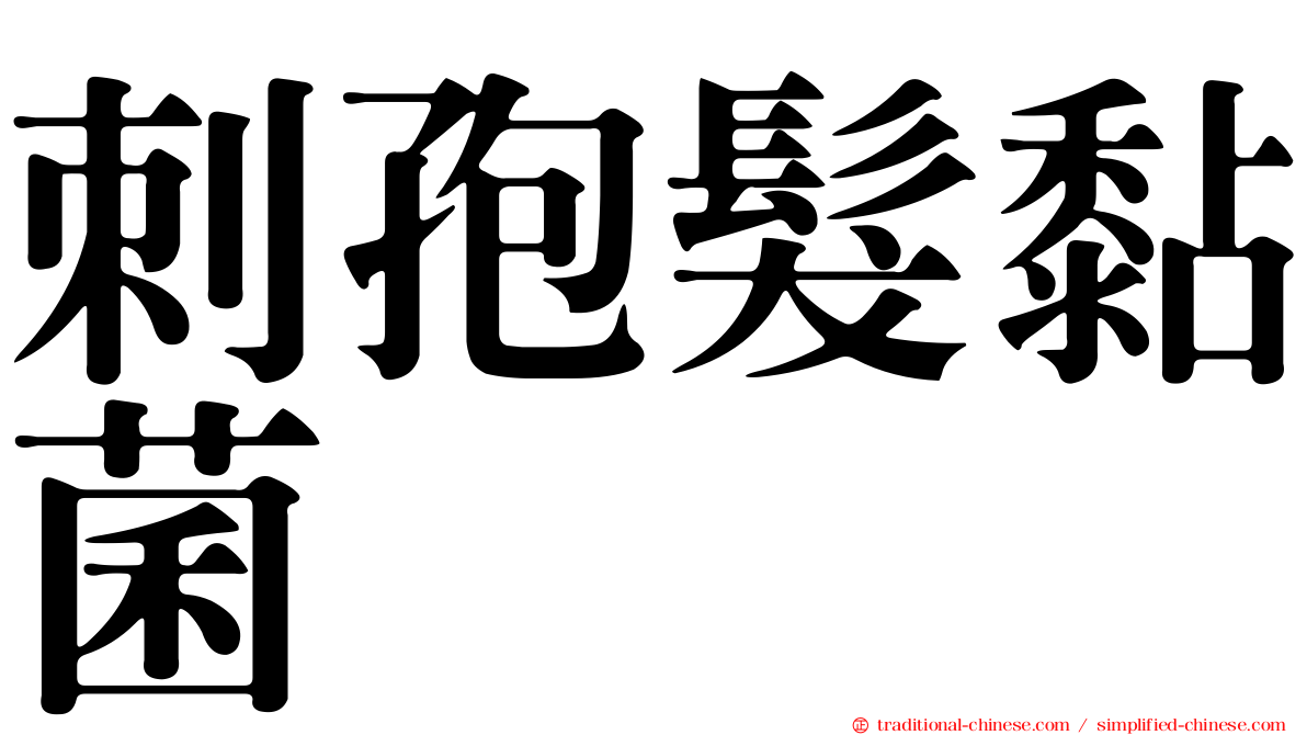 刺孢髮黏菌