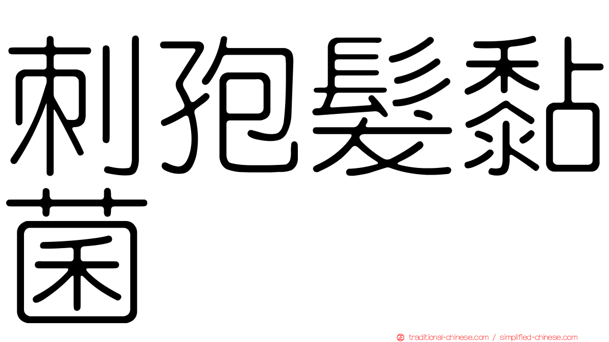 刺孢髮黏菌