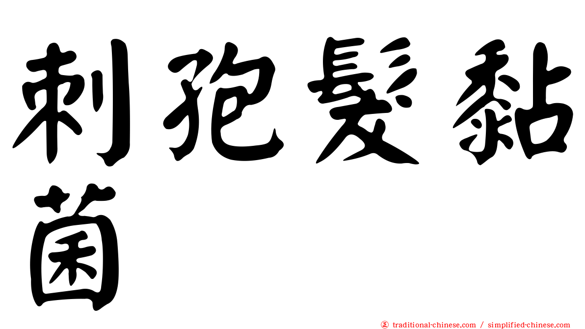 刺孢髮黏菌