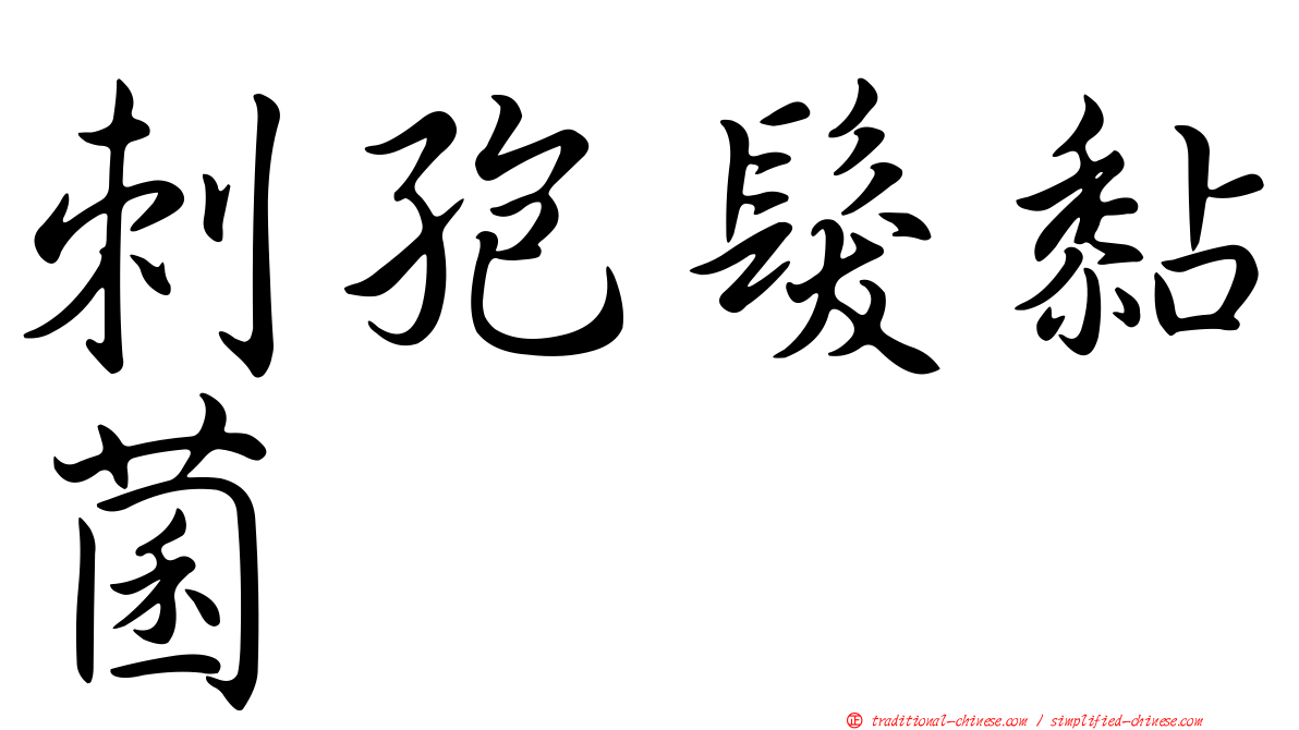 刺孢髮黏菌