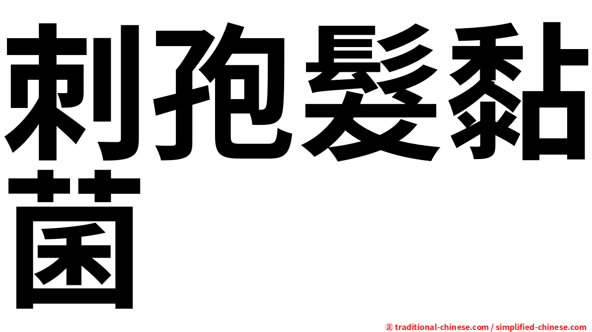 刺孢髮黏菌