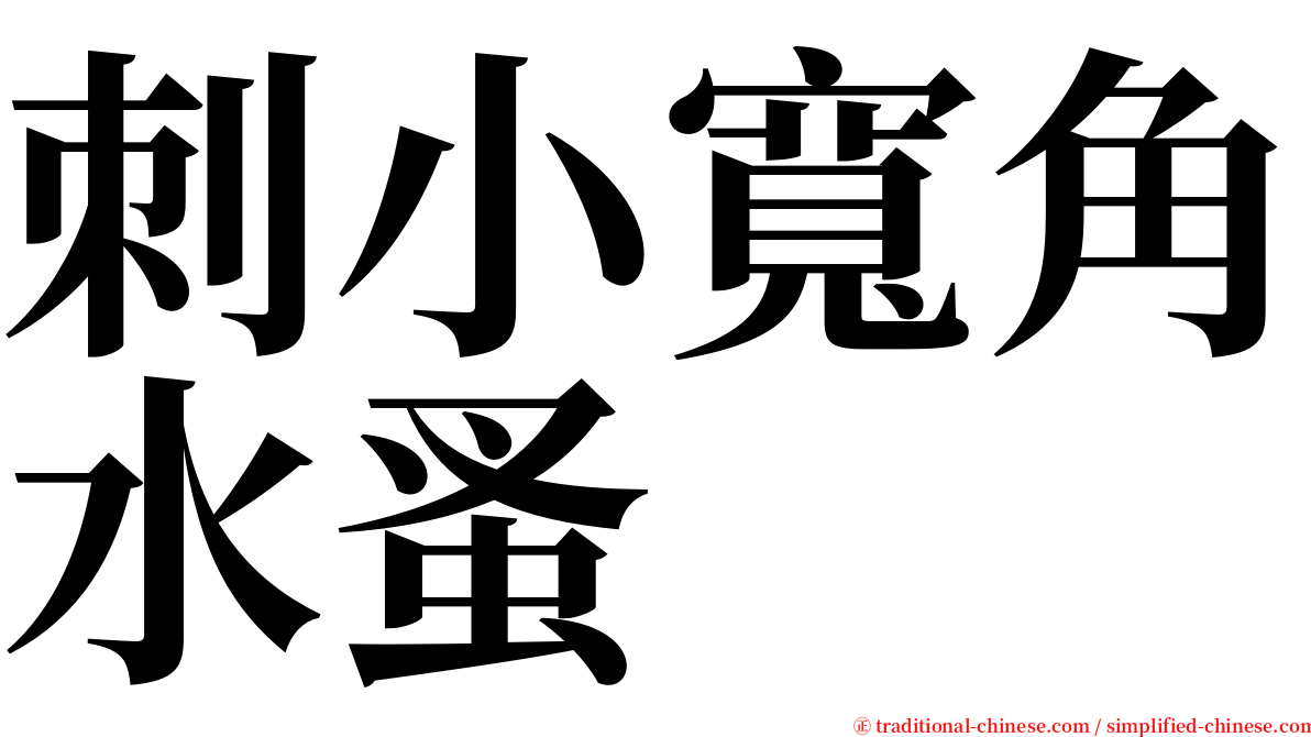 刺小寬角水蚤 serif font