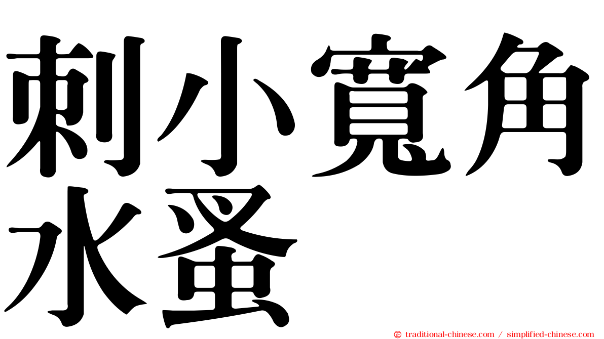 刺小寬角水蚤