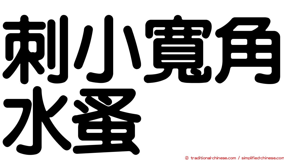 刺小寬角水蚤