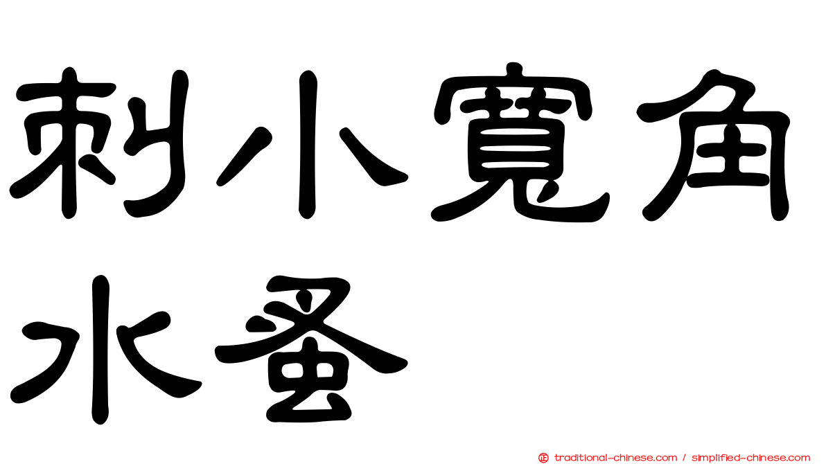 刺小寬角水蚤